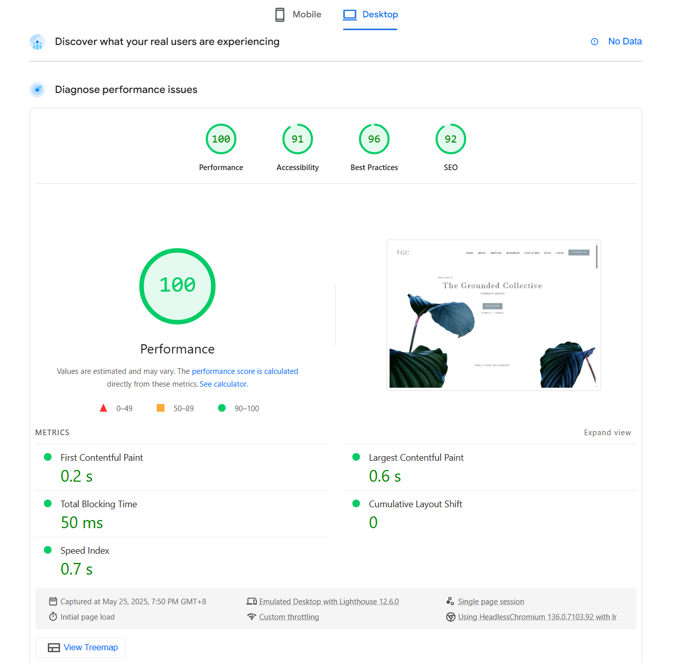 Google PageSpeed Screenshot